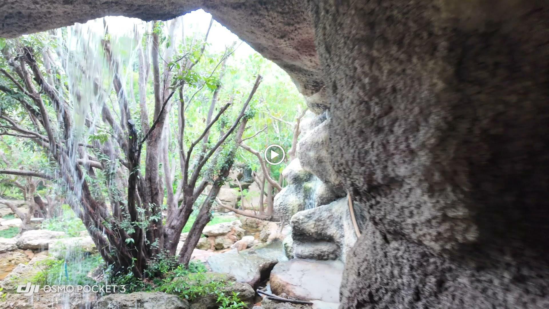 Samui Elephant Haven